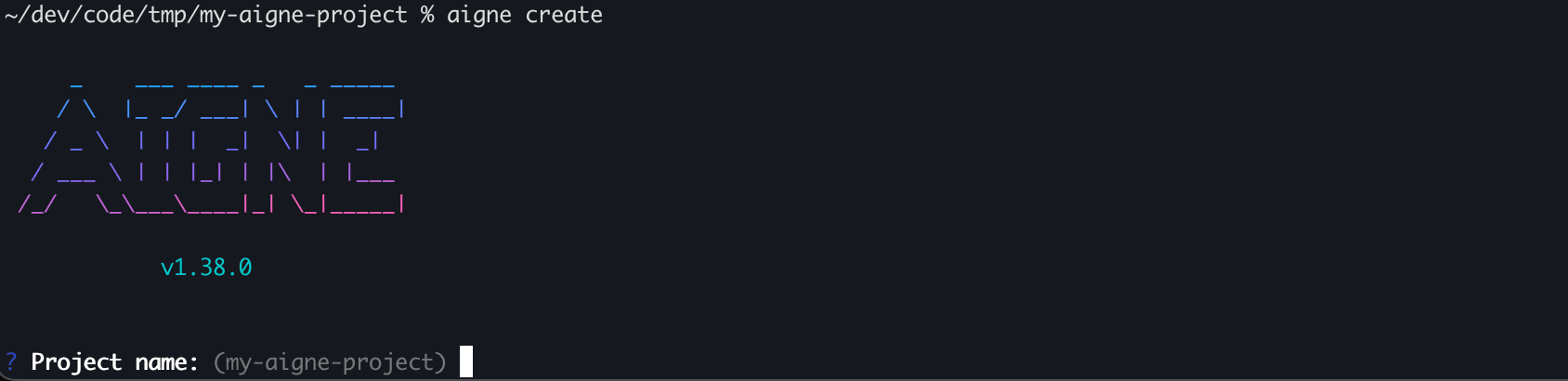 Interactive prompt for project name