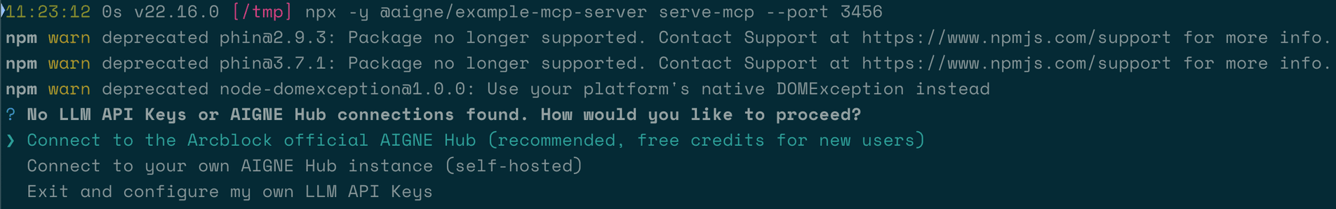 A terminal prompt for connecting to an AI model.