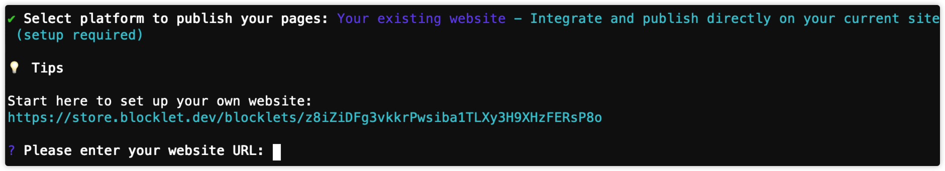 Prompt requesting the target website URL