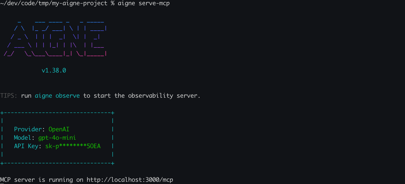 Running the MCP Service