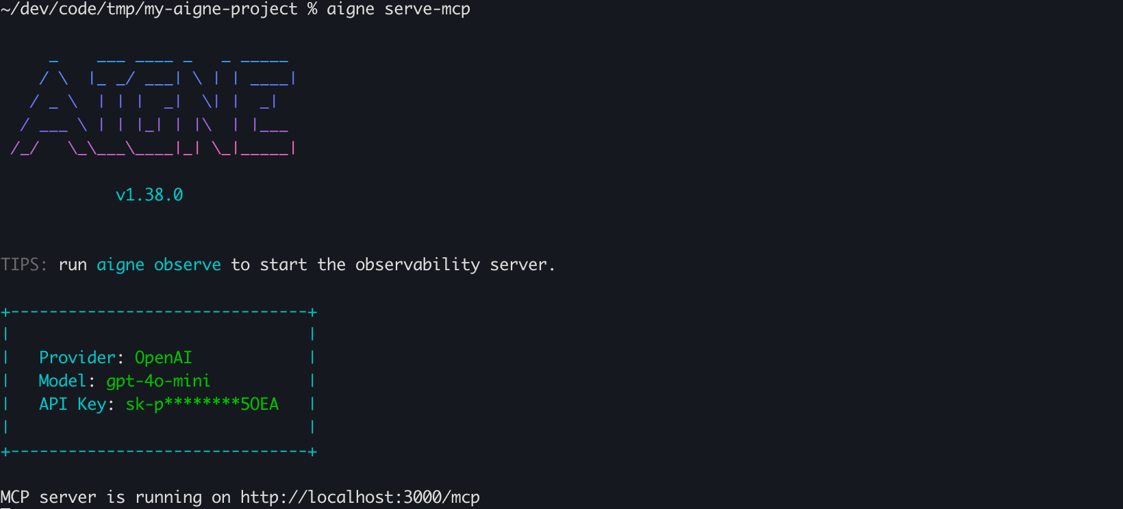 Running the MCP Service