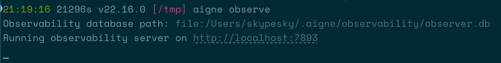 Terminal output showing the aigne observe command has started the server.