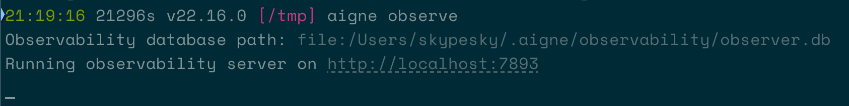 Terminal output showing the aigne observe server running.