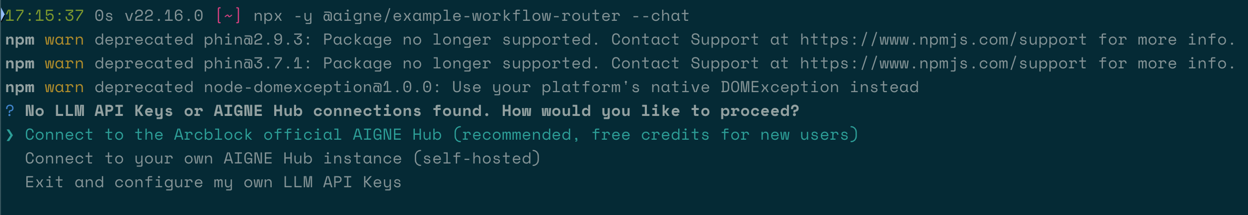 Initial setup prompt for AI model connection