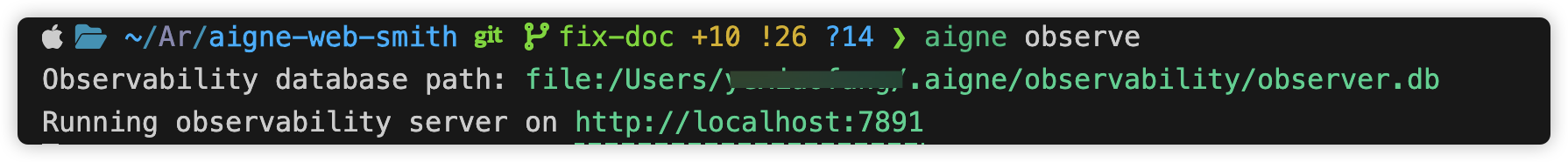 Observability server running