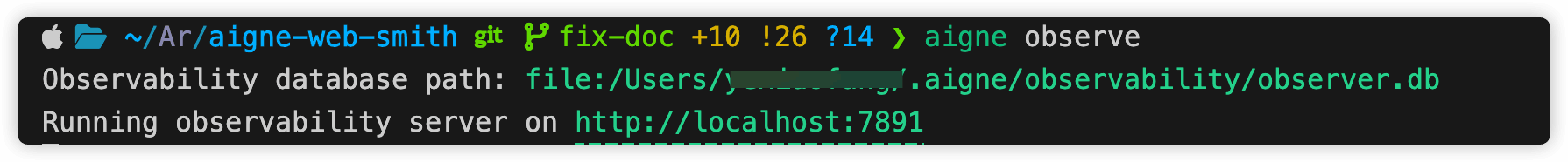 Observability server running