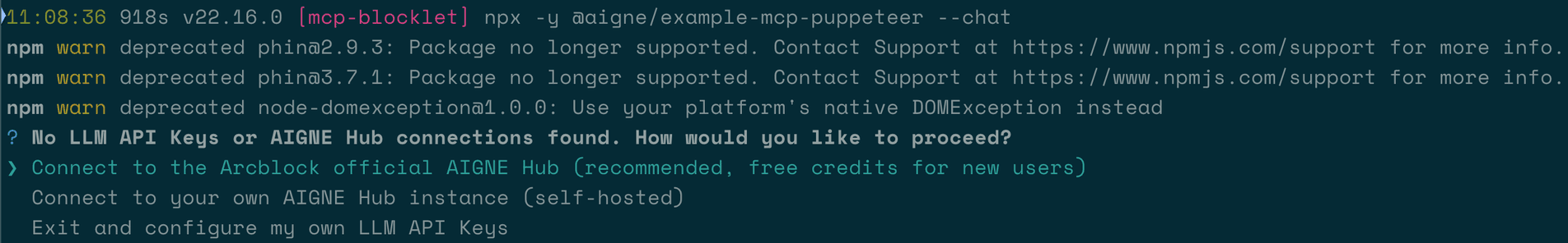 Initial connection prompt for AI model