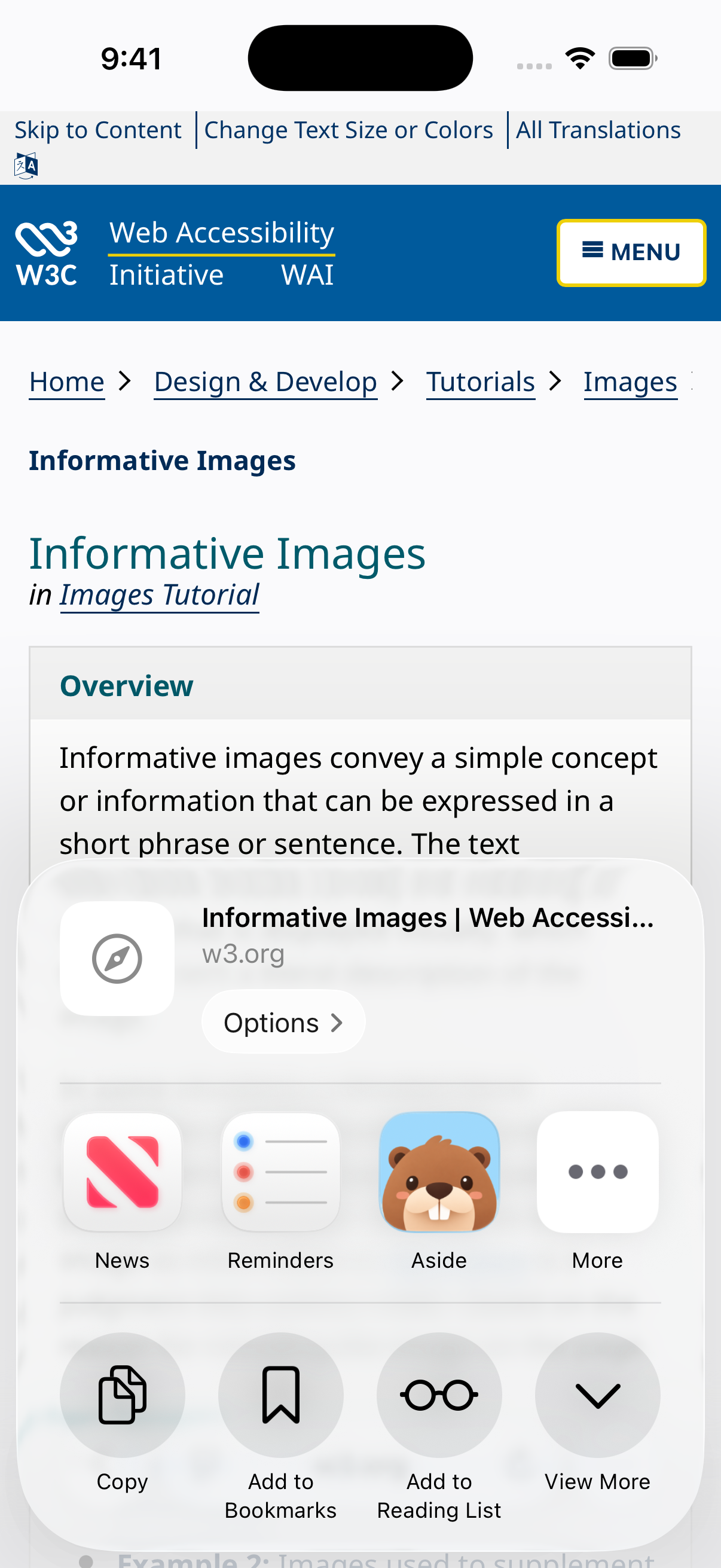 Share the informative-image guidance to Aside from Safari.