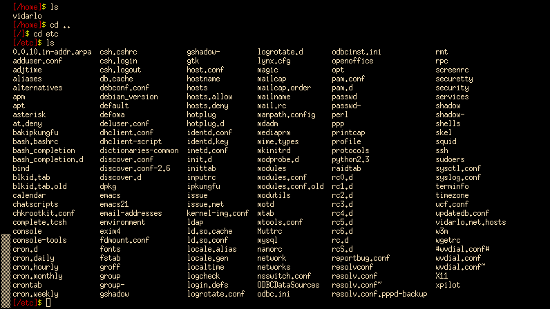 Paths and directory entries in xterm