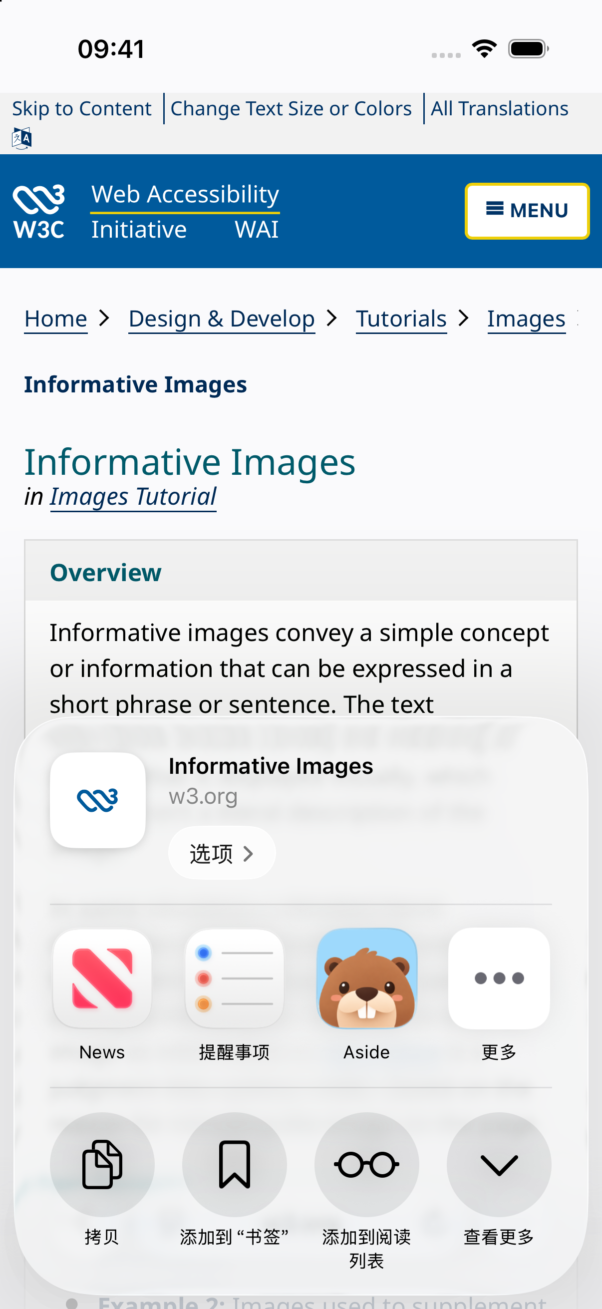 在 Safari 将信息性图片说明分享到 Aside。
